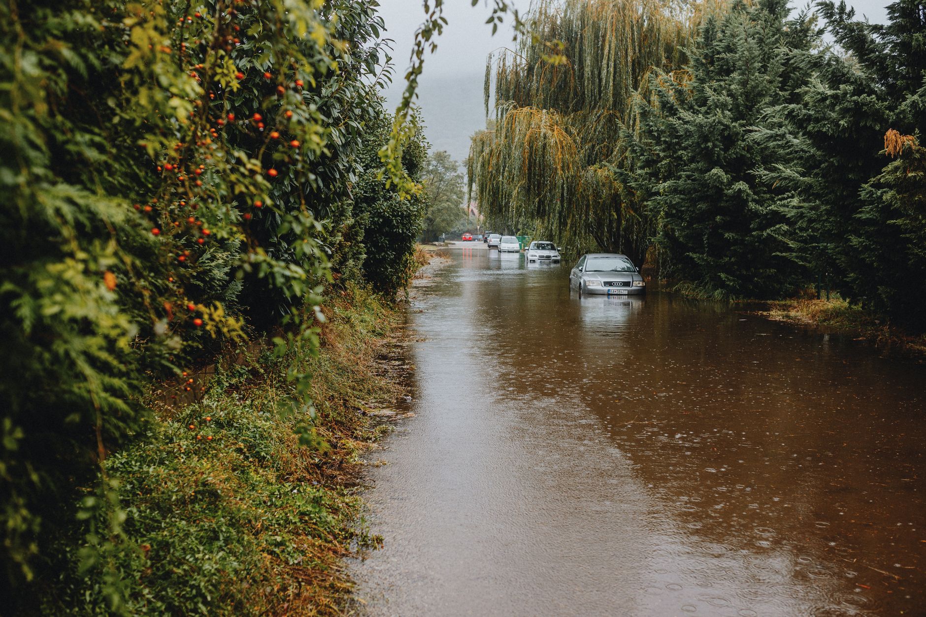 Flood-Damaged Cars Are Entering the UK Used Market Again: How to Spot Them Before You Buy